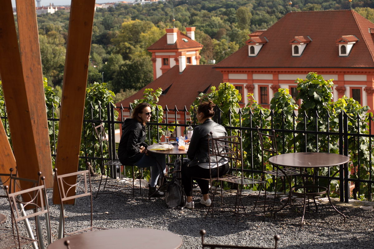 Terra&ccedil;o_Vinhedo de St. Kl&aacute;ry