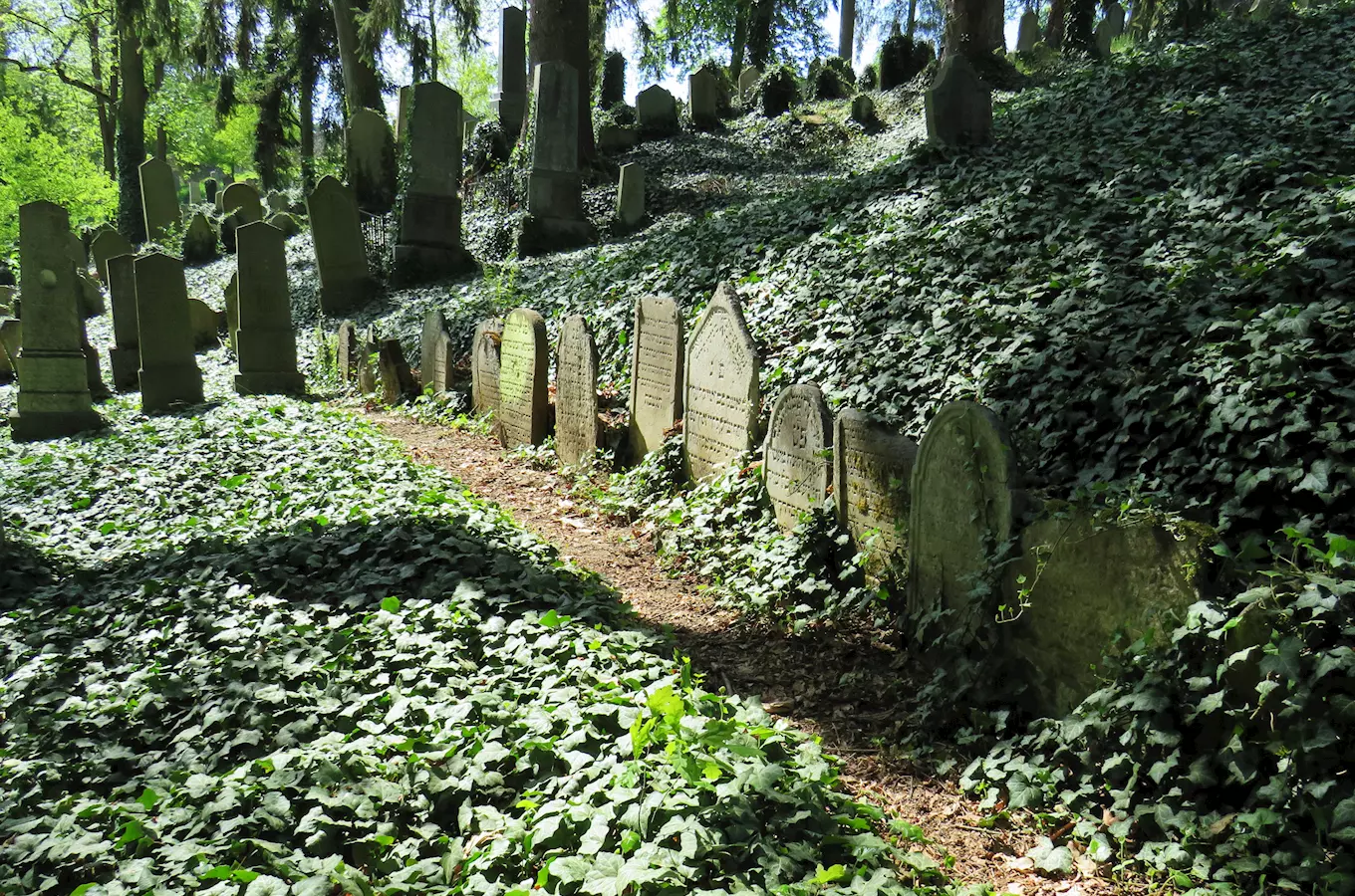 Cemit&eacute;rio Judeu em Trebic