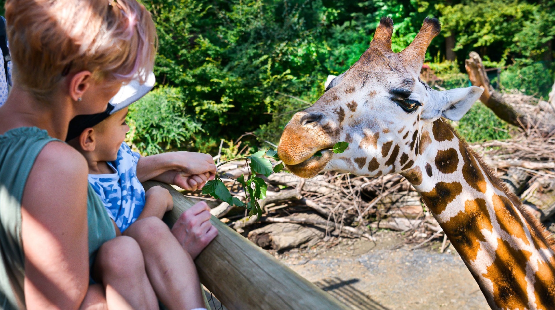 Woman and child feeding a giraffe through a wooden railing in a zoo or park setting.